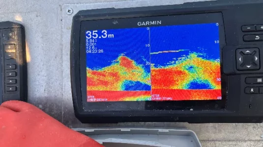 IMG_1167.webp IMG_1167.webp