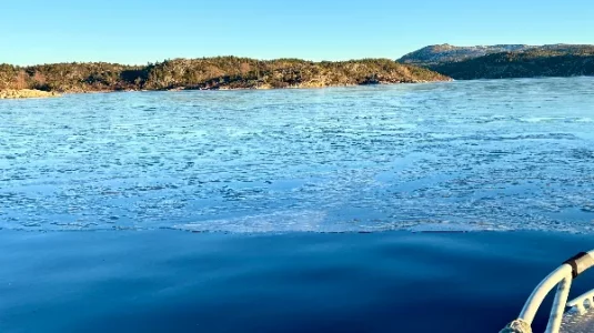 IMG_1194.webp IMG_1194.webp