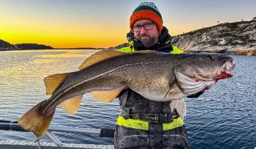 IMG_1213.webp IMG_1213.webp