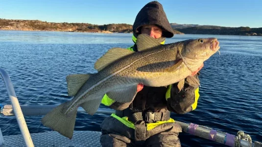 IMG_1198.webp IMG_1198.webp