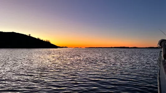 IMG_1217.webp IMG_1217.webp