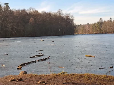 Pfaffensee mit Eis.webp