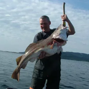 1769859140742.webp 1769859140742.webp