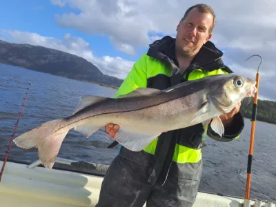 IMG-20230910-WA0016.webp IMG-20230910-WA0016.webp