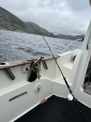 IMG_0741.webp IMG_0741.webp