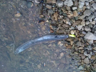 IMG_0012.webp IMG_0012.webp