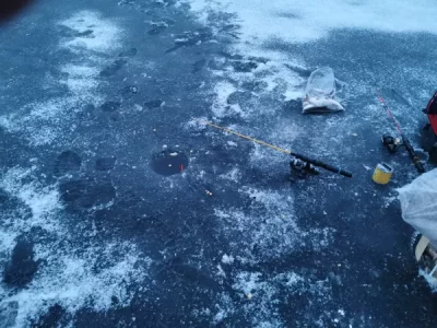 IMG-20260213-WA0003.webp IMG-20260213-WA0003.webp