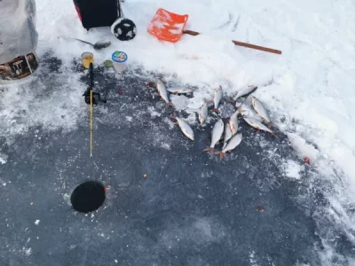 IMG-20260220-WA0012.webp IMG-20260220-WA0012.webp