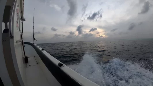 dji_mimo_20260221_064136_20260221064137_1771659953298_photo.webp dji_mimo_20260221_064136_20260221064137_1771659953298_photo.webp