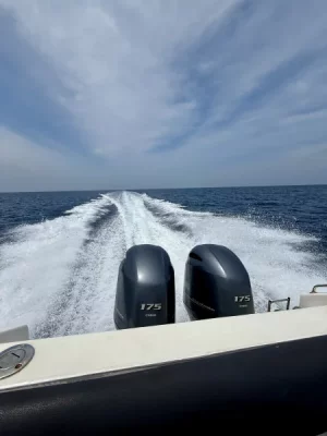 IMG_8655.webp IMG_8655.webp