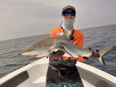 IMG_8648.webp IMG_8648.webp