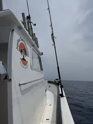 IMG_8652.webp IMG_8652.webp