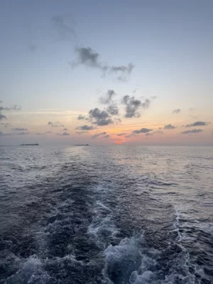 IMG_8672.webp IMG_8672.webp