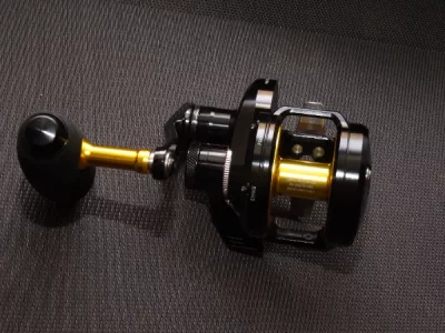 DSC01590.webp DSC01590.webp