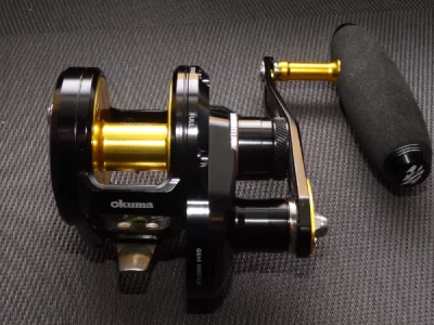 DSC01592.webp DSC01592.webp