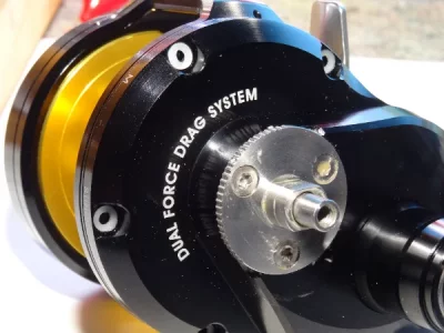 DSC01598.webp DSC01598.webp