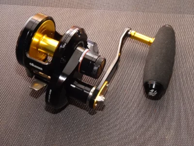 DSC01615.webp DSC01615.webp