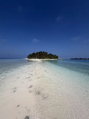 IMG_5479.webp IMG_5479.webp