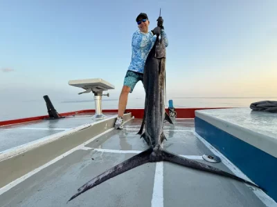 IMG_8731.webp IMG_8731.webp