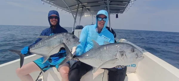 WhatsApp Image 2026-02-18 at 13.34.03.webp