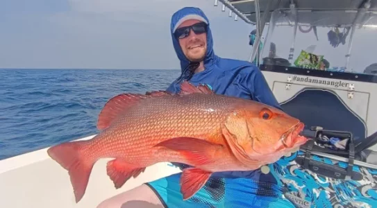 WhatsApp Image 2026-02-18 at 13.33.11.webp