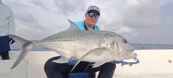 WhatsApp Image 2026-02-18 at 13.41.16.webp