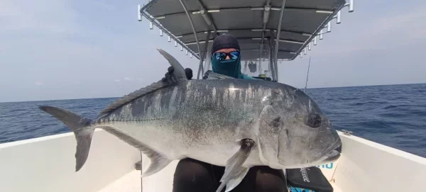 WhatsApp Image 2026-02-19 at 12.48.54.webp