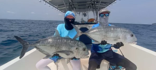 WhatsApp Image 2026-02-19 at 12.49.06.webp