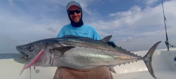 WhatsApp Image 2026-02-19 at 12.53.06.webp