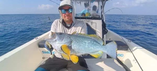 WhatsApp Image 2026-02-21 at 15.50.11.webp