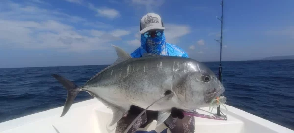 WhatsApp Image 2026-02-21 at 15.50.17.webp