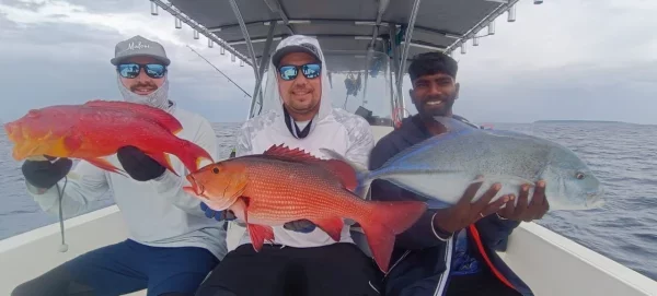 WhatsApp Image 2026-02-23 at 15.41.40.webp