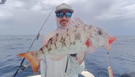 WhatsApp Image 2026-02-23 at 15.41.04.webp