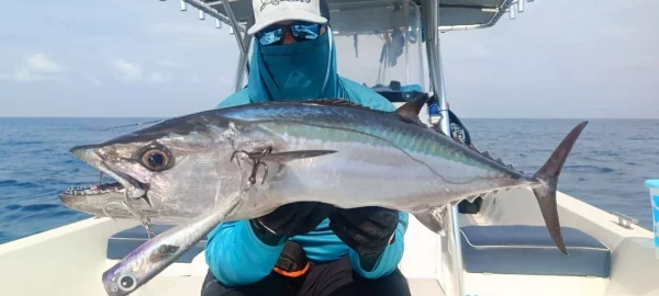 WhatsApp Image 2026-02-23 at 15.49.35.webp