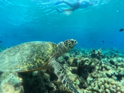 GPTempDownload.webp GPTempDownload.webp