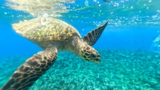 GPTempDownload.webp GPTempDownload.webp