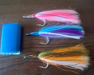 20260228_085003.webp 20260228_085003.webp