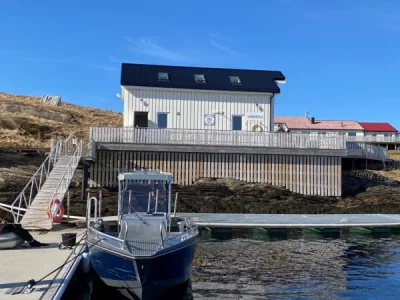 Hering.webp Hering.webp