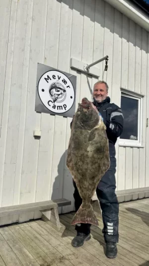 Heilbutt.webp Heilbutt.webp