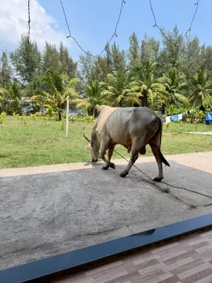 80ea26c0-833d-431c-a1f6-c560c3bf53d1.webp 80ea26c0-833d-431c-a1f6-c560c3bf53d1.webp