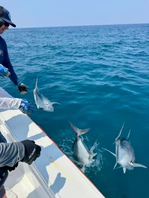 0d3081a8-b680-4100-b1dc-ce50d3f5ae07.webp 0d3081a8-b680-4100-b1dc-ce50d3f5ae07.webp