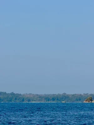 fad890b4-2b7e-4c46-a7d4-14ac162779af.webp fad890b4-2b7e-4c46-a7d4-14ac162779af.webp