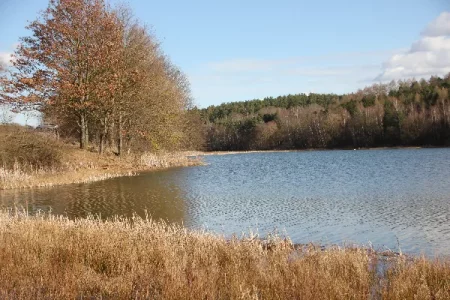 IMG_6297.webp IMG_6297.webp