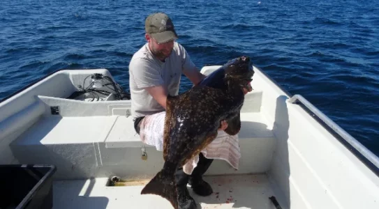 Bildschirmfoto 2026-03-08 um 11.10.08.webp