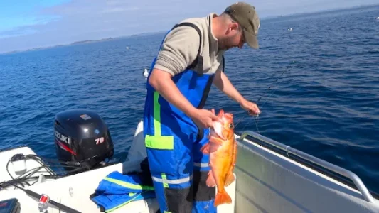 Bildschirmfoto 2026-03-08 um 11.01.40.webp