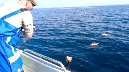 Bildschirmfoto 2026-03-08 um 11.02.05.webp