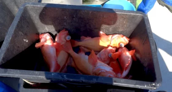 Bildschirmfoto 2026-03-08 um 11.01.15.webp