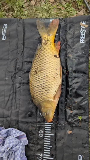 ef527b24-e0e5-4580-9392-9631f8522bc0-1_all_58064.webp ef527b24-e0e5-4580-9392-9631f8522bc0-1_all_58064.webp