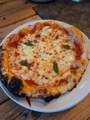 1000041282.webp 1000041282.webp