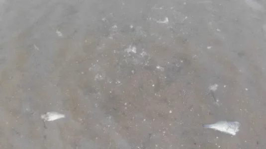 DSCI3889.webp DSCI3889.webp